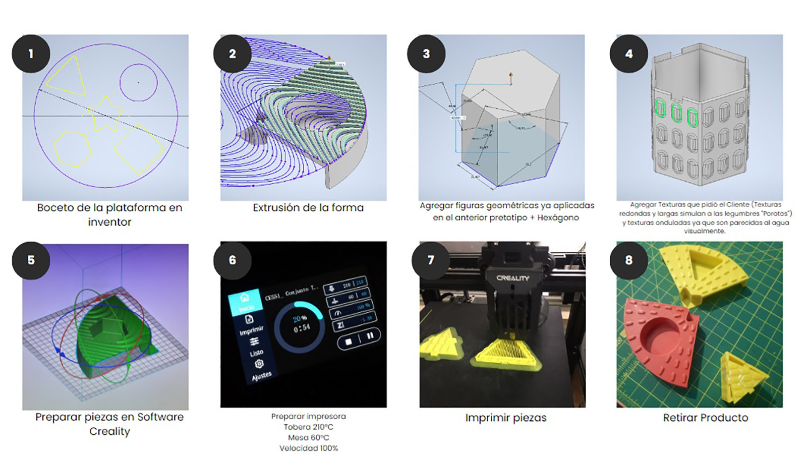 PROYECTO PROFESIONAL / Soluciones para Niños y Adultos con Alteraciones Cognitivas