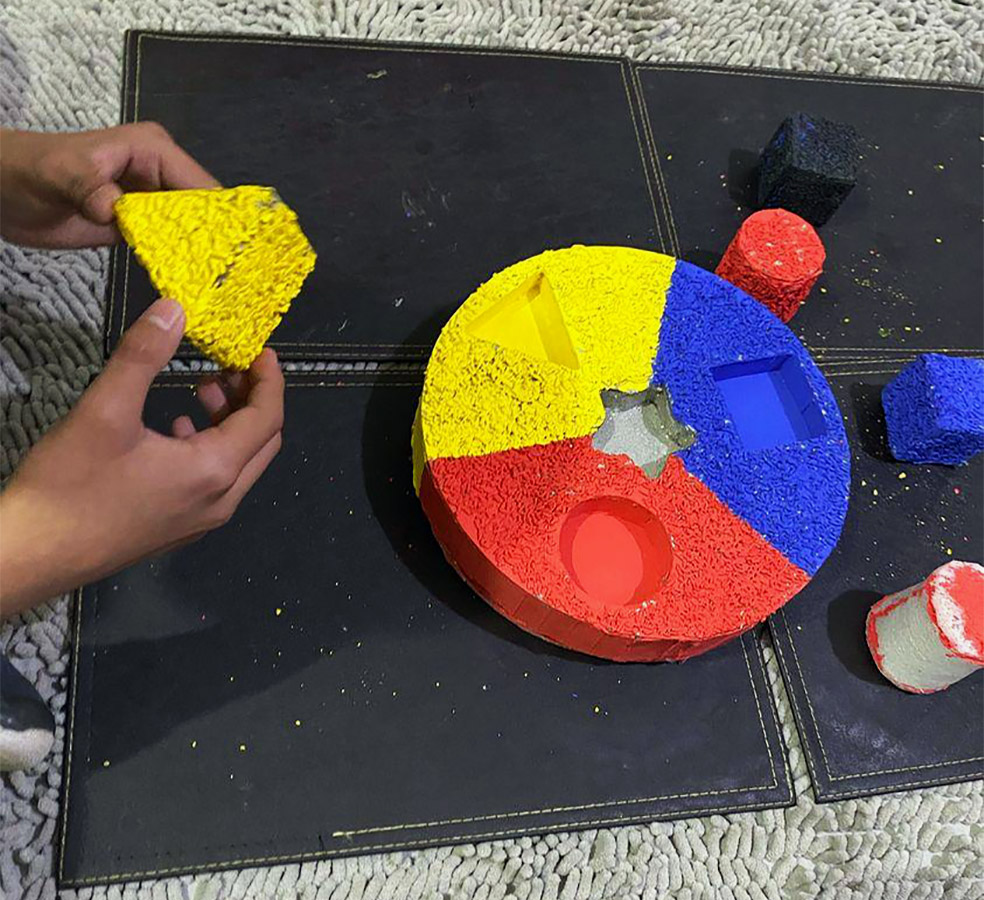 PROYECTO PROFESIONAL / Soluciones para Niños y Adultos con Alteraciones Cognitivas