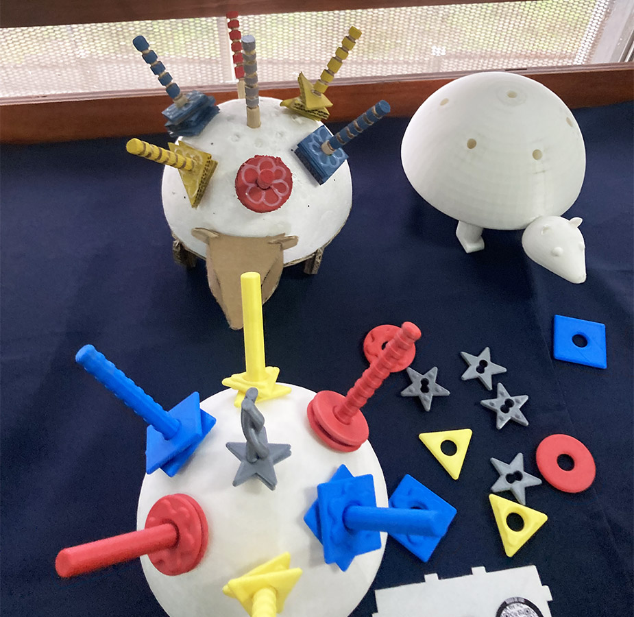 PROYECTO PROFESIONAL / Soluciones para Niños y Adultos con Alteraciones Cognitivas