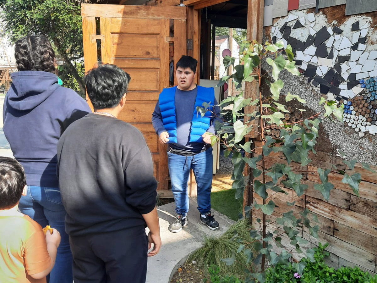 PROYECTO PROFESIONAL / Soluciones para Niños y Adultos con Alteraciones Cognitivas