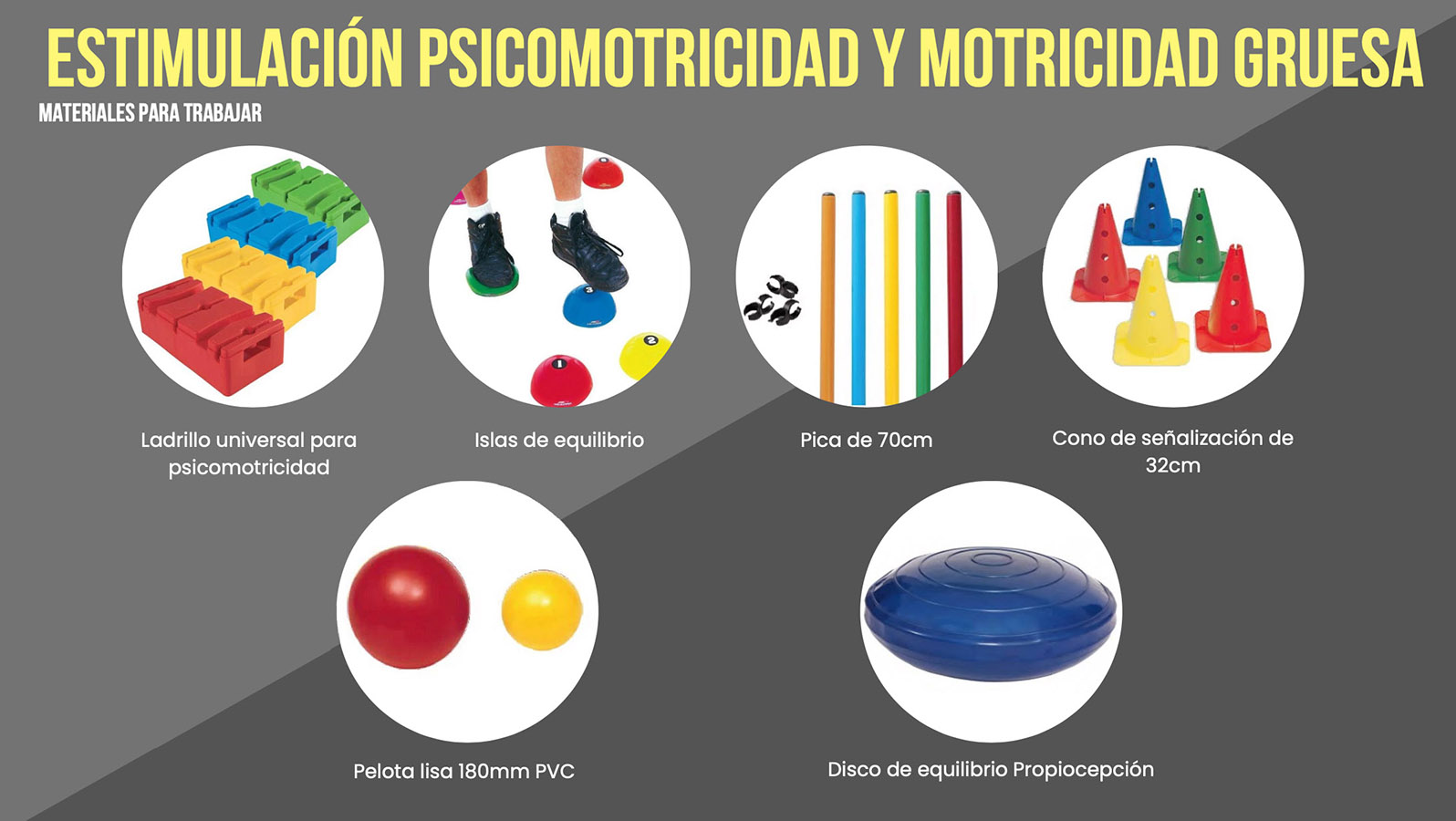 PROYECTO PROFESIONAL / Soluciones para Niños y Adultos con Alteraciones Cognitivas