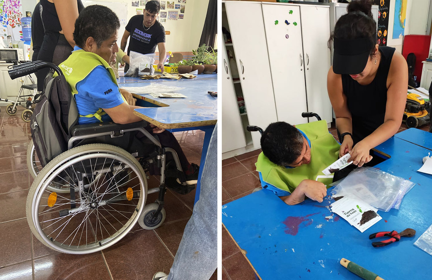 PROYECTO PROFESIONAL / Soluciones para Niños y Adultos con Alteraciones Cognitivas