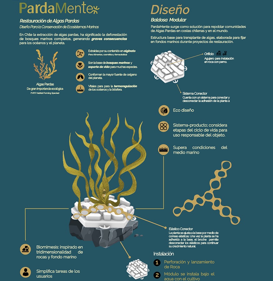 PROYECTO PROFESIONAL / Servicios y Productos de Diseño
