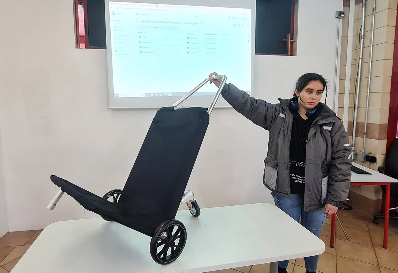 PROYECTO PROFESIONAL / Servicios y Productos de Diseño