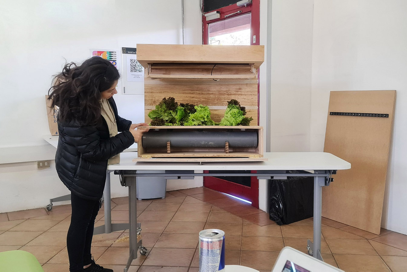 PROYECTO PROFESIONAL / Servicios y Productos de Diseño