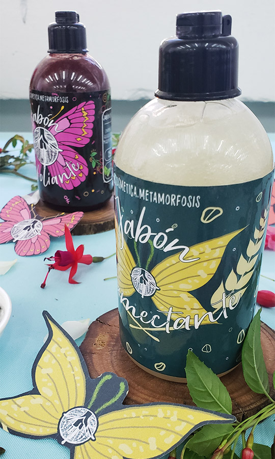 Etiquetas Ilustradas para PYMES con Foco Sustentable