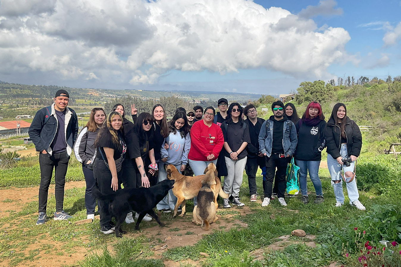 Artesanía Bato / Puente Colmo Concón