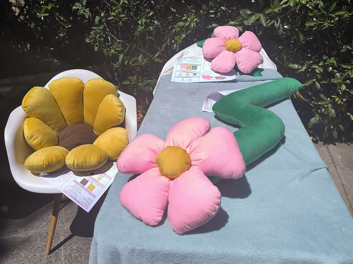 Diseño de Productos para Casaideas