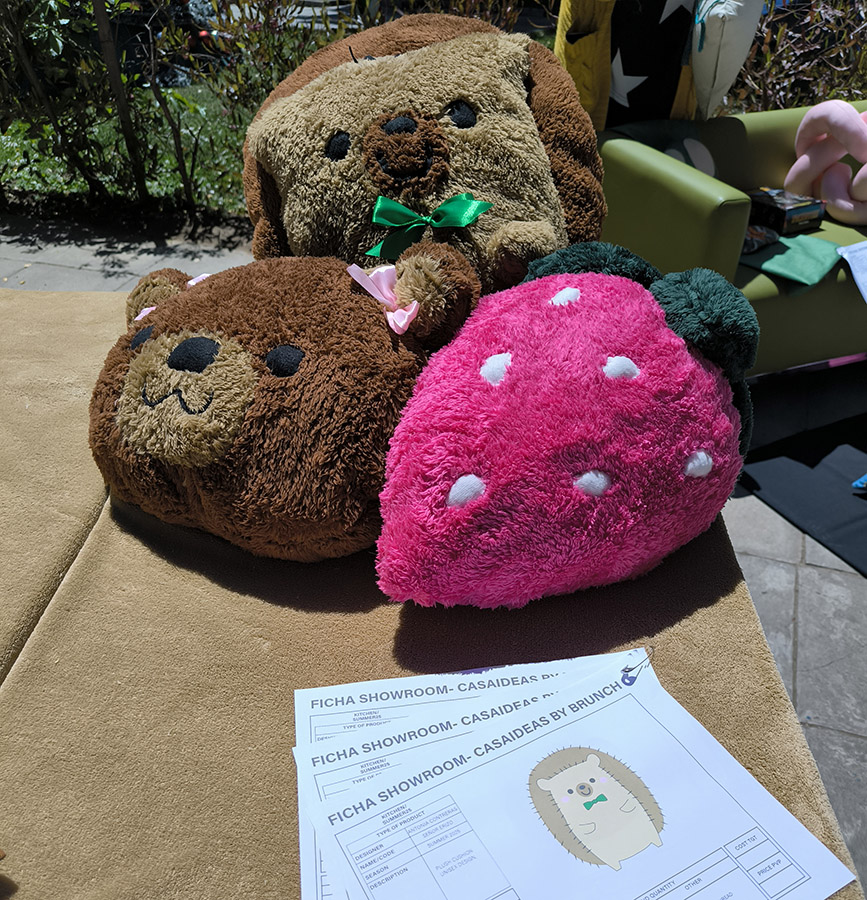 Diseño de Productos para Casaideas