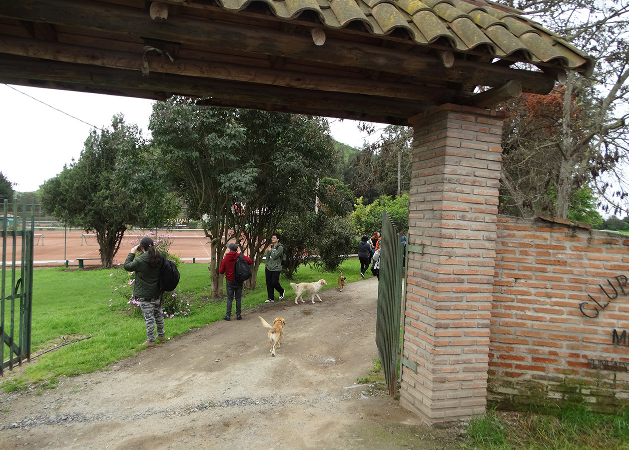 Articulado de un Sistema de Orientación / Club de Tenis Melipilla