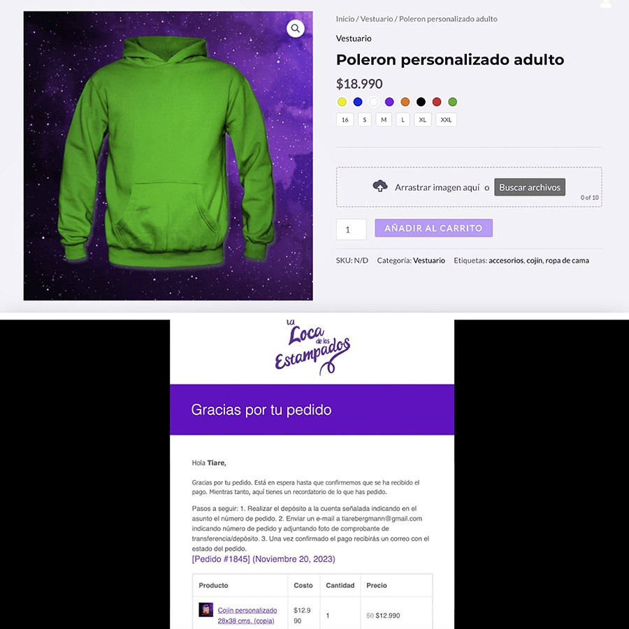 Desarrollo Web para Emprendedores / SERCOTEC