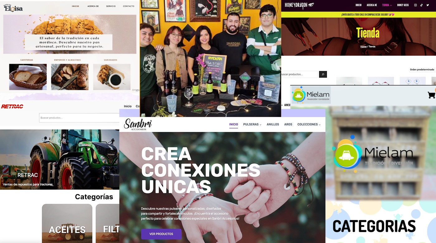 Desarrollo Web para Emprendedores / SERCOTEC