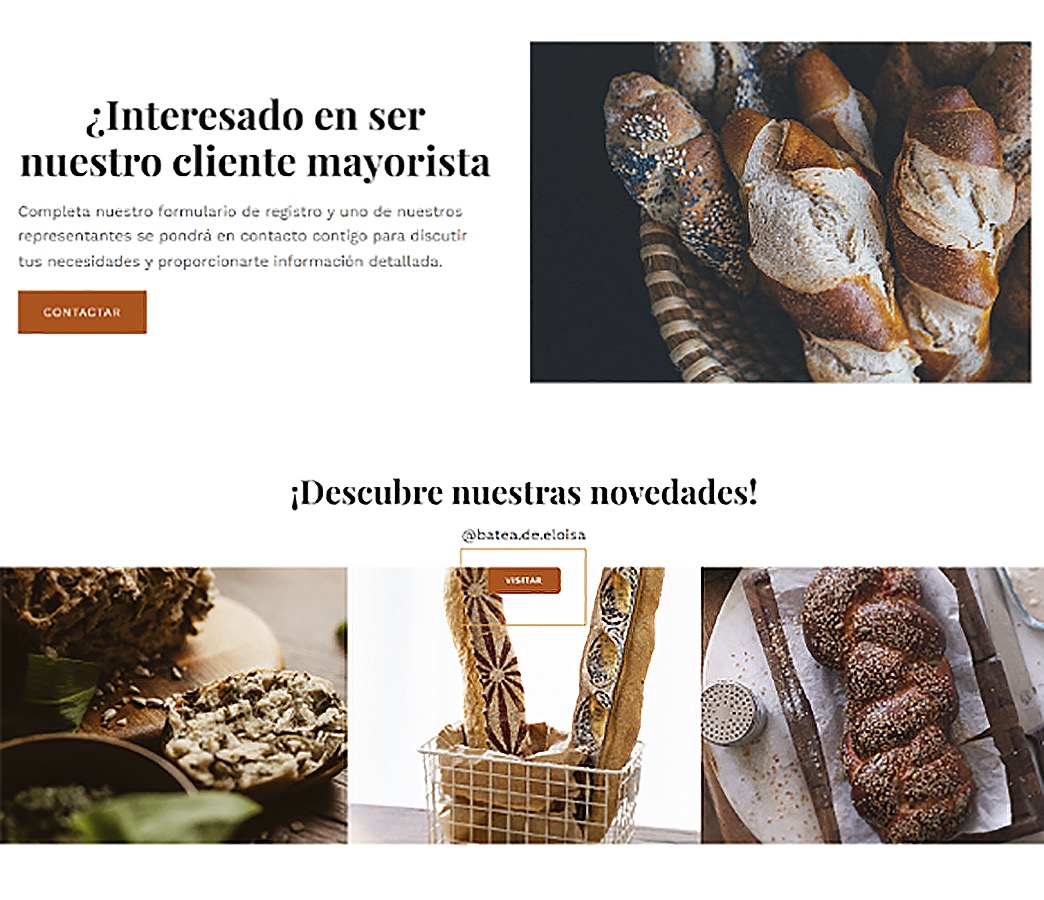 Desarrollo Web para Emprendedores / SERCOTEC