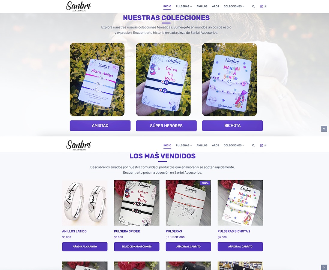 Desarrollo Web para Emprendedores / SERCOTEC