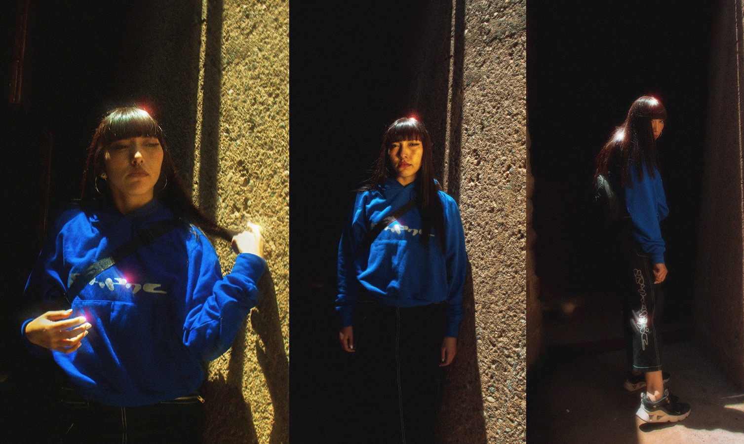 Proyecto Moda DOS LOBOS