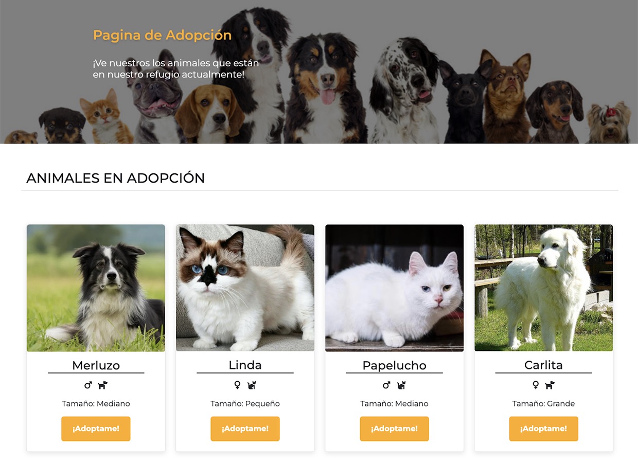 Emprendiendo en Desarrollo y Diseño Web