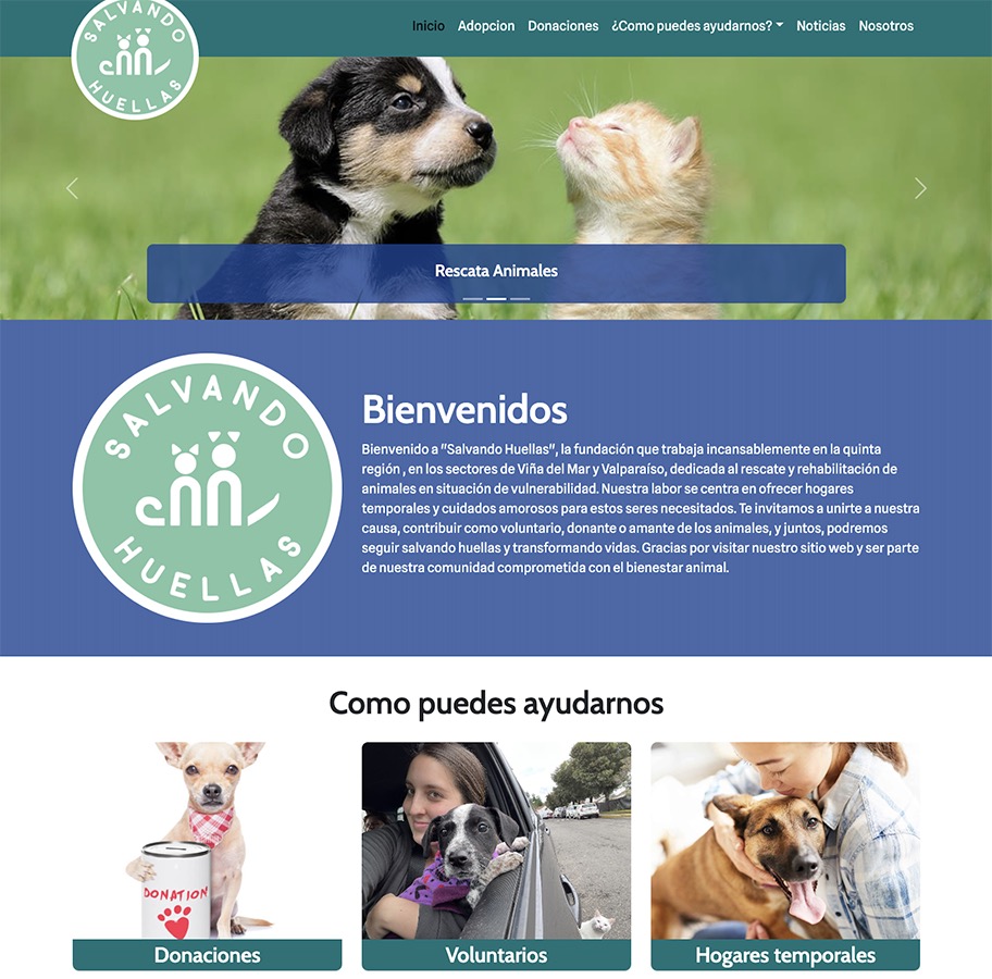 Emprendiendo en Desarrollo y Diseño Web