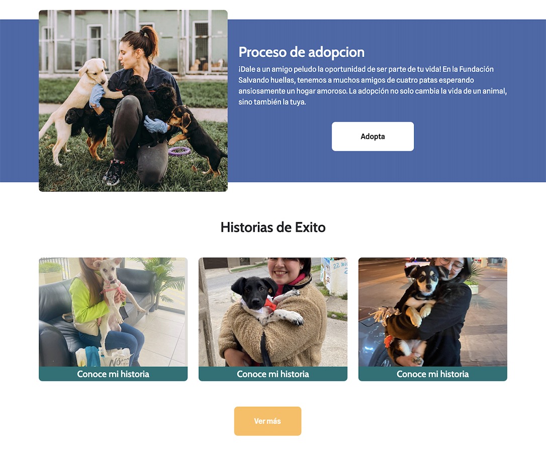 Emprendiendo en Desarrollo y Diseño Web