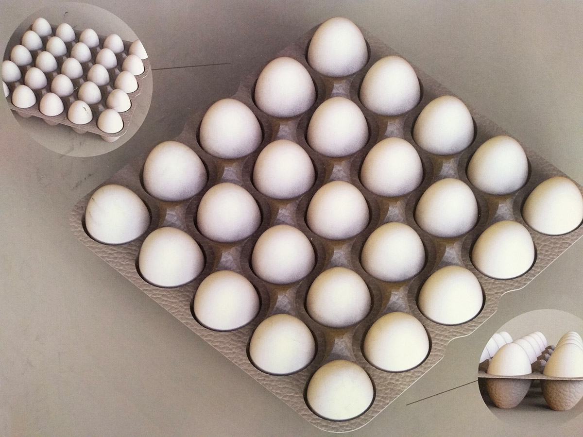 Workshop de Innovación en Packaging / CMPC