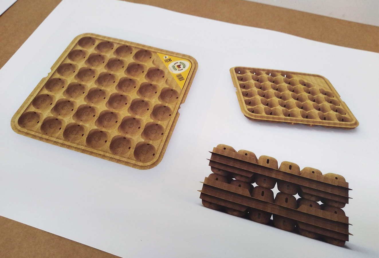 Workshop de Innovación en Packaging / CMPC