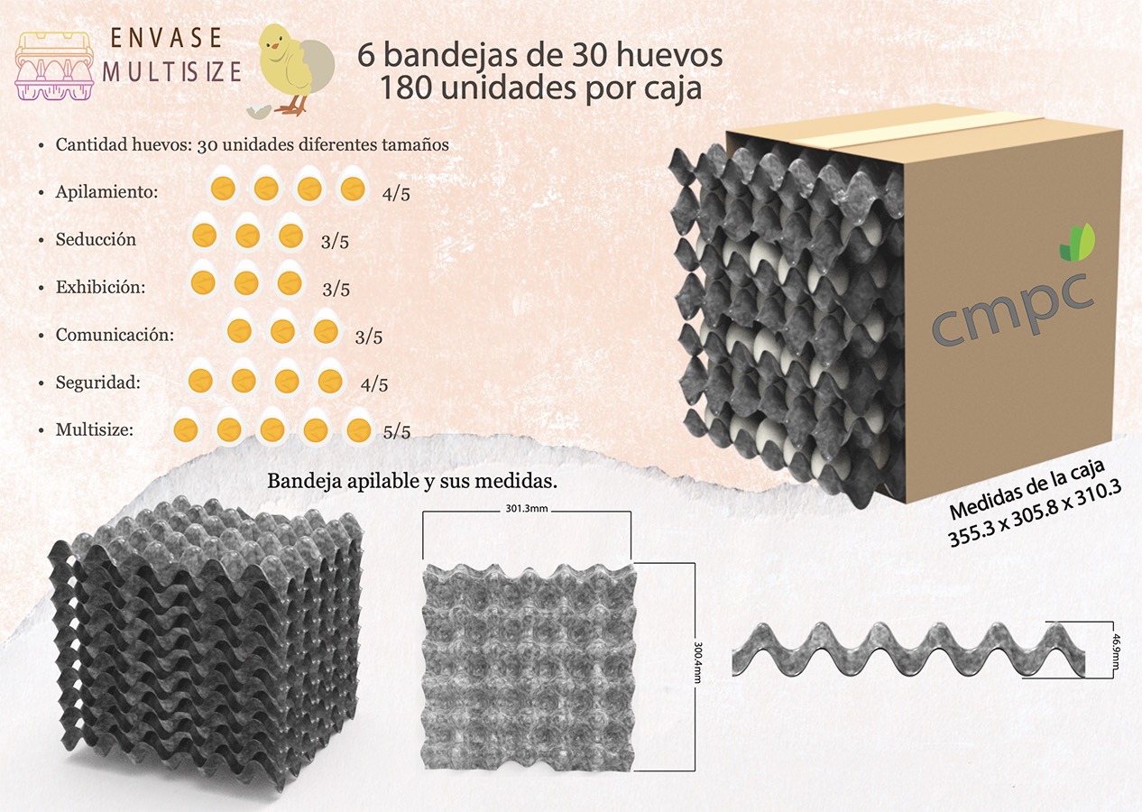 Workshop de Innovación en Packaging / CMPC