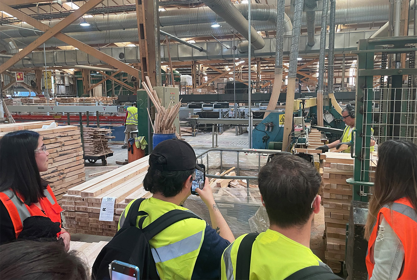 Mobiliario Armable en Madera de Lenga