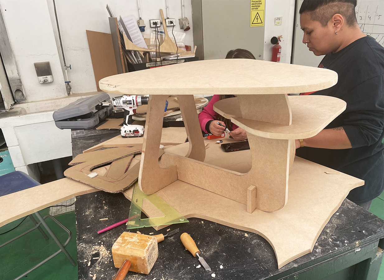 Mobiliario Armable en Madera de Lenga