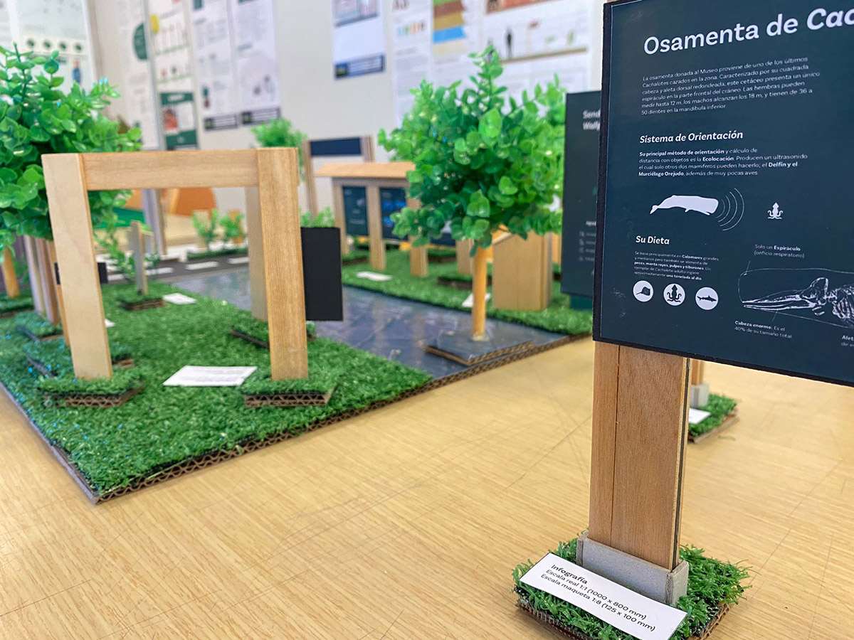 Sistema Señalización Parque Museo Pedro del Río Zañartu