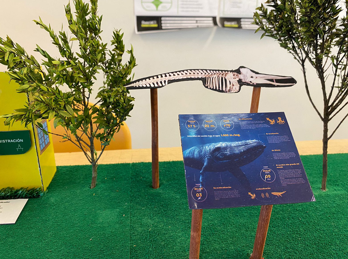 Sistema Señalización Parque Museo Pedro del Río Zañartu