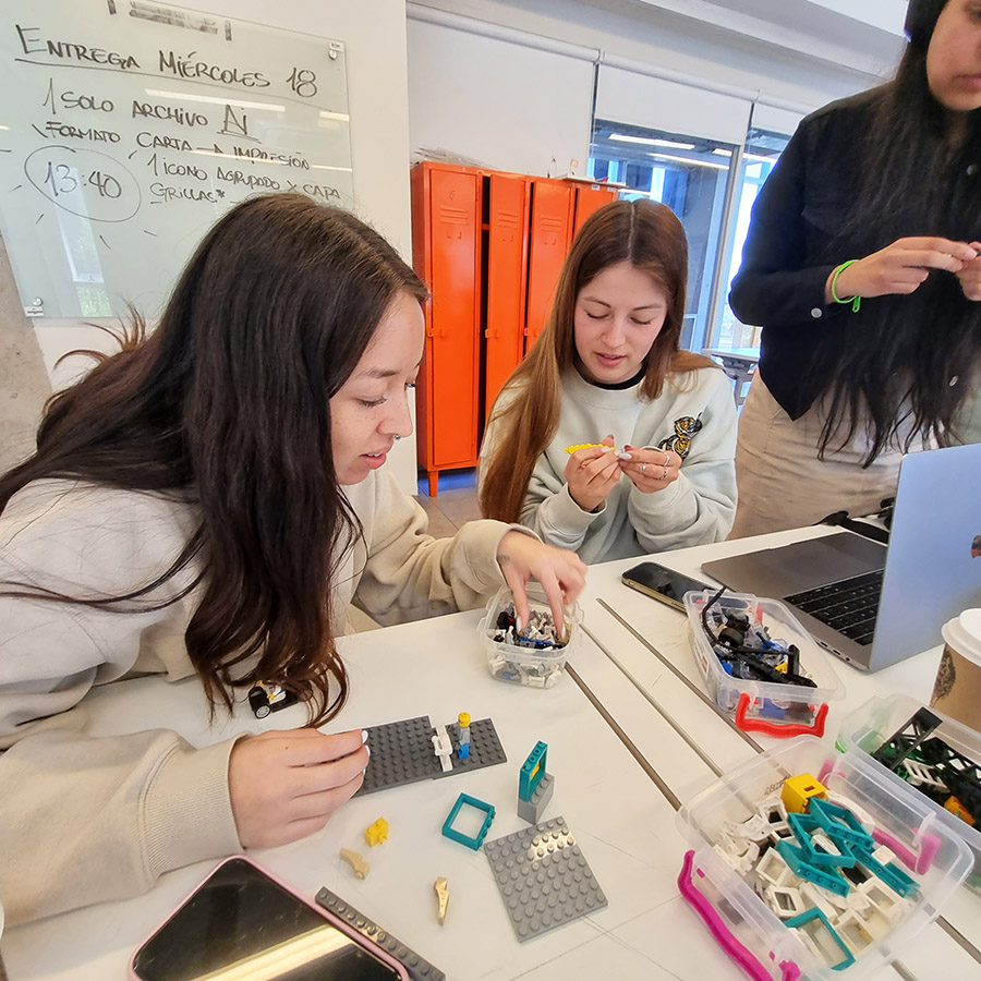 Experiencia Atención al Visitante al Parque Museo Pedro del Río Zañartu