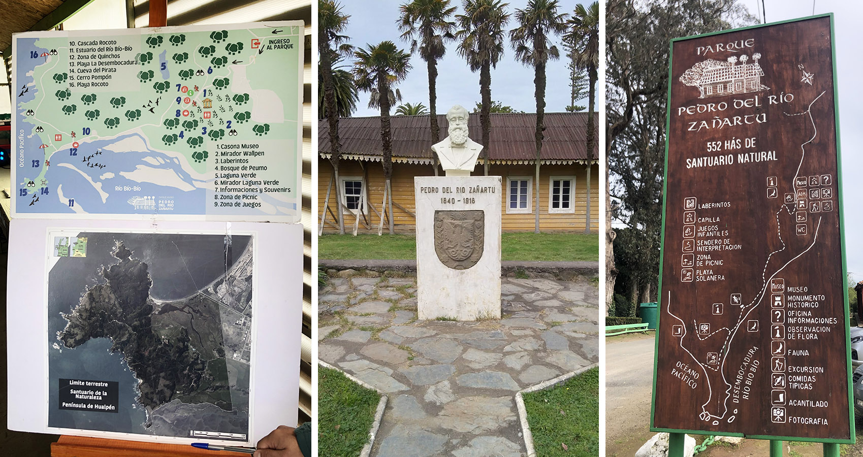Experiencia Atención al Visitante al Parque Museo Pedro del Río Zañartu
