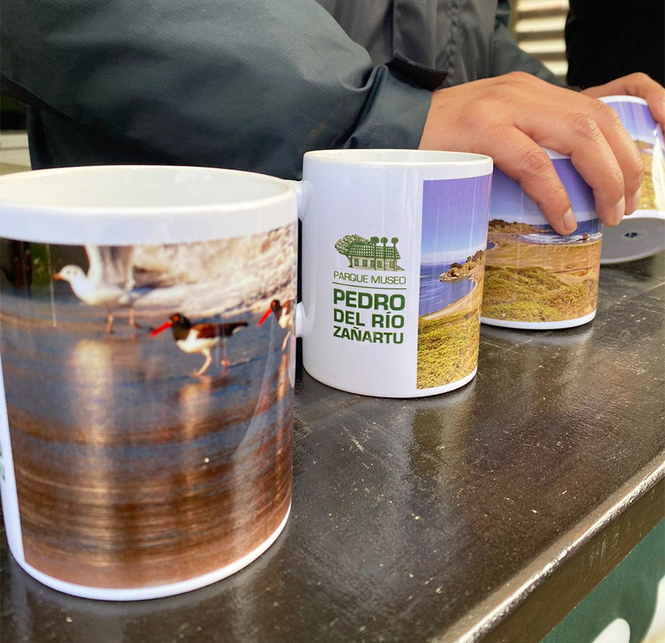 Experiencia Atención al Visitante al Parque Museo Pedro del Río Zañartu