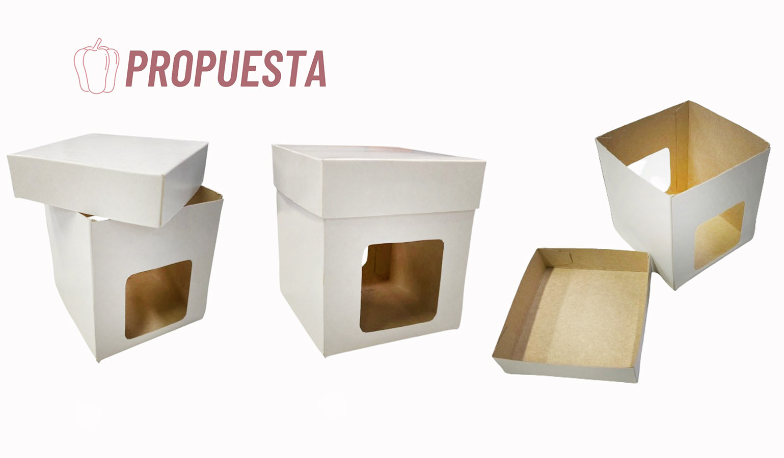 Desafío Packaging / Colorpack