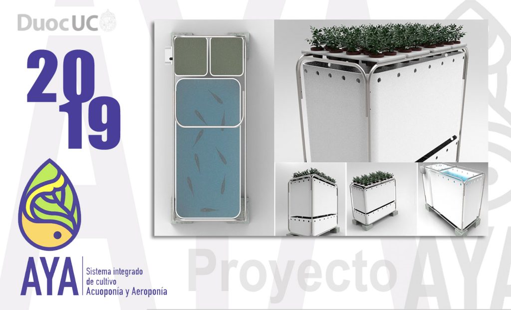 proyecto_aya2019