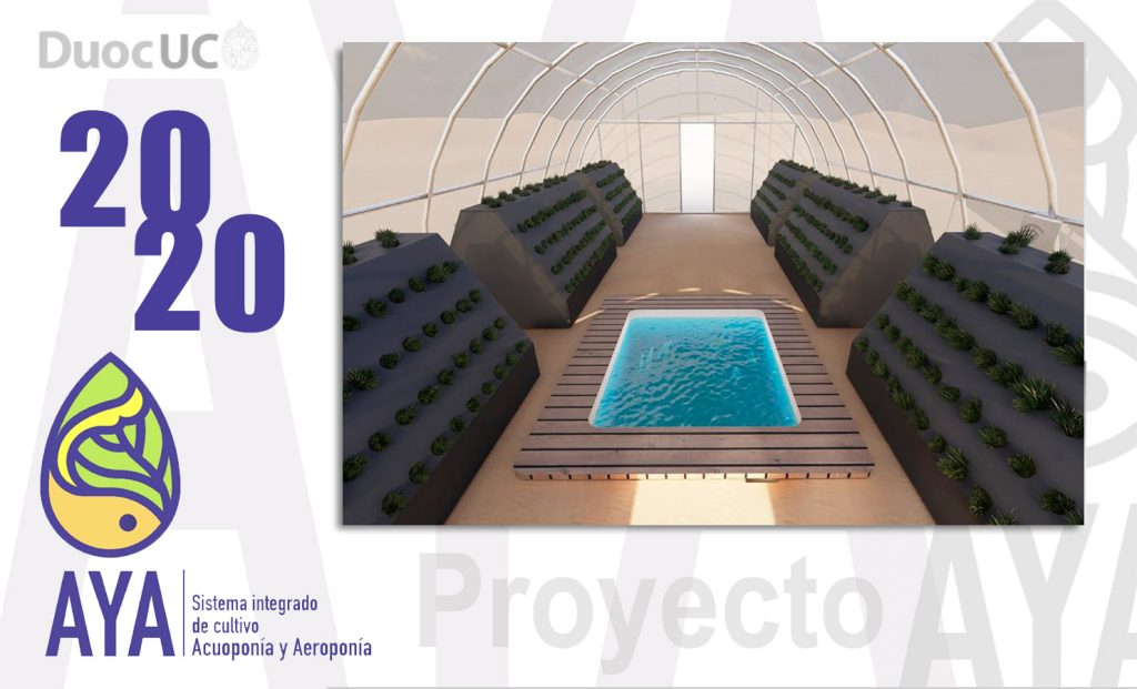 proyecto_aya2020