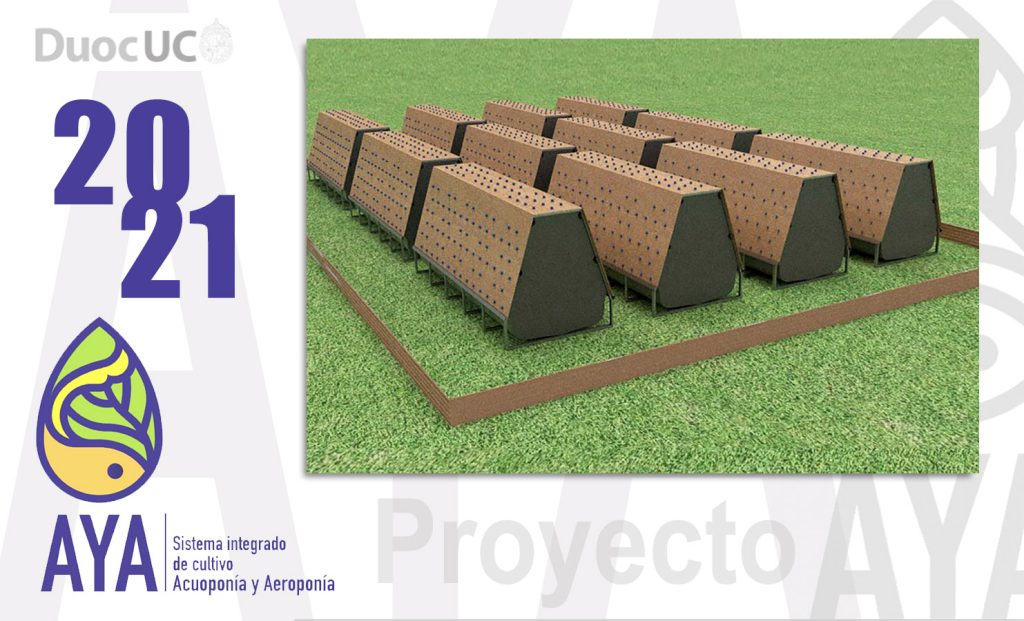 proyecto_aya2021