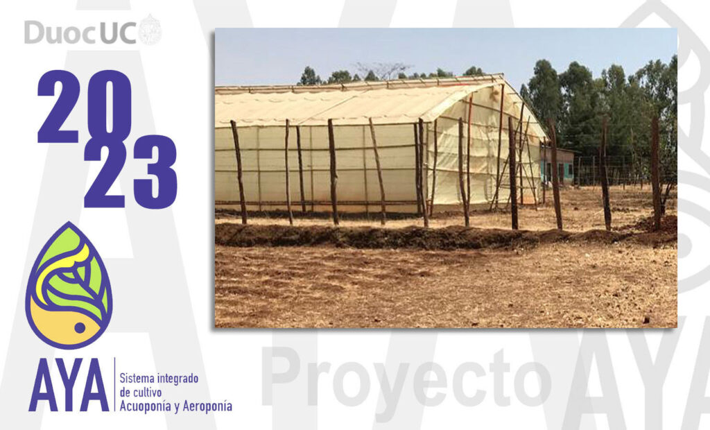 proyecto_aya2023