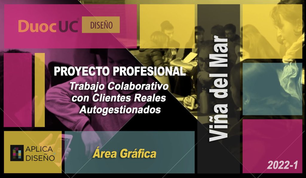 proyectoprofesional_vina