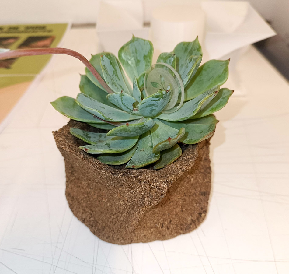 Diseño de Productos a partir de la Reutilización de Residuos