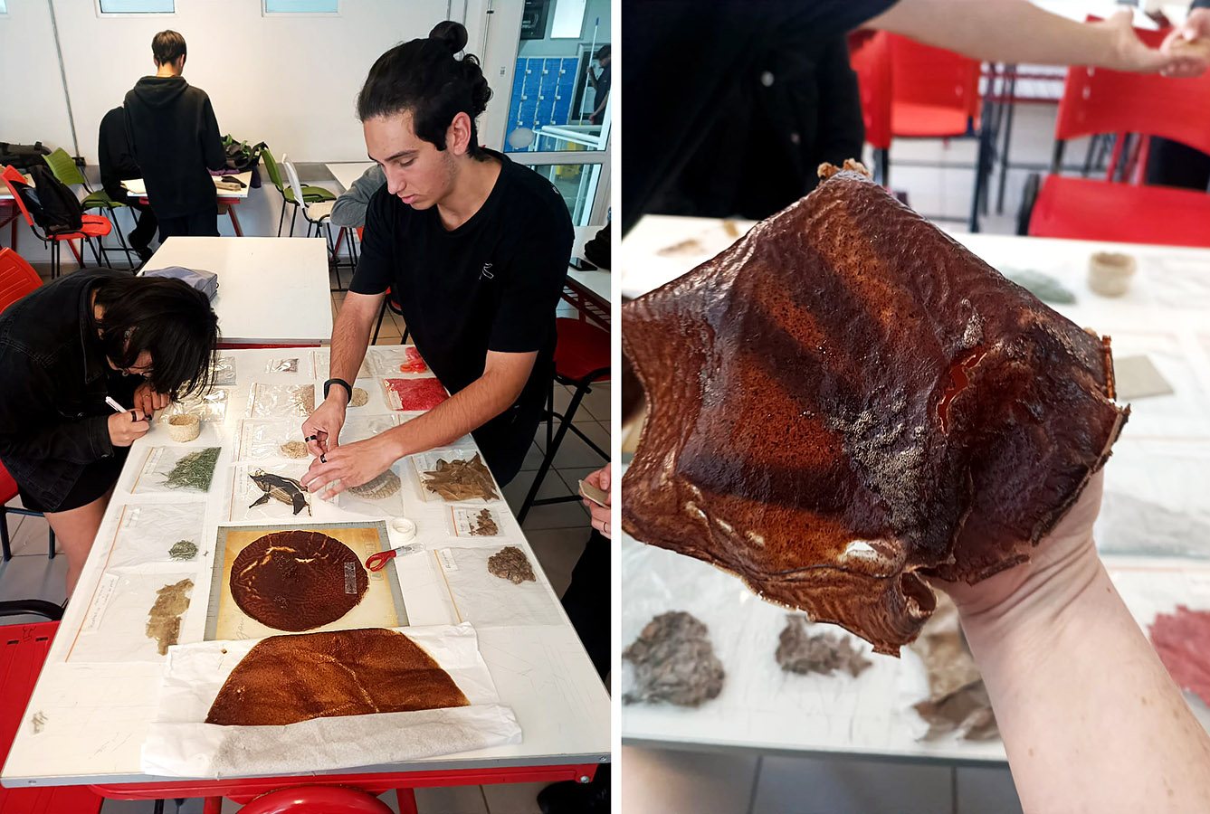 Diseño de Productos a partir de la Reutilización de Residuos