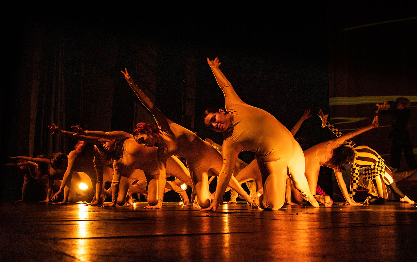 Ignoscents ¿Fantasía o Realidad?