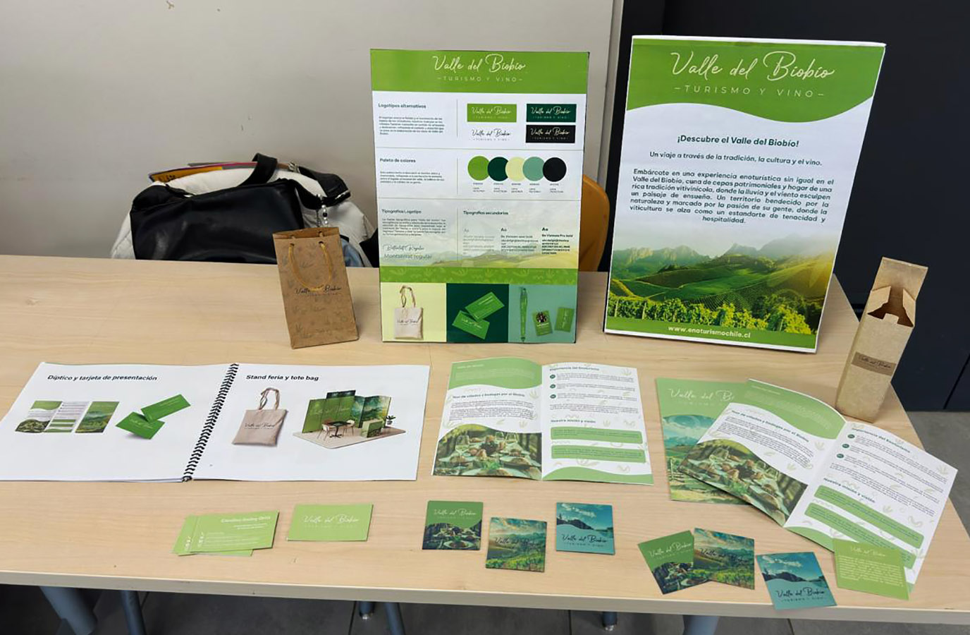 Imagen Corporativa para Valle del BIOBÍO