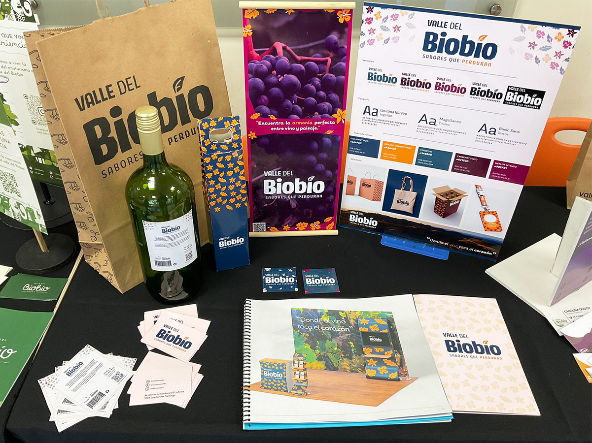 Imagen Corporativa para Valle del BIOBÍO