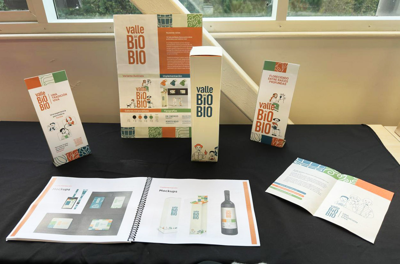 Imagen Corporativa para Valle del BIOBÍO