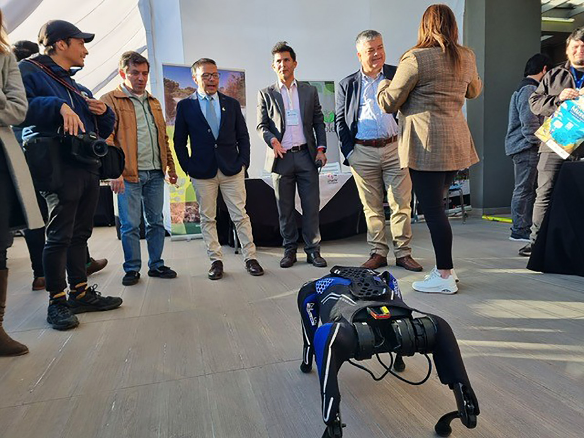 Indumentaria Técnica para Cyber Dog