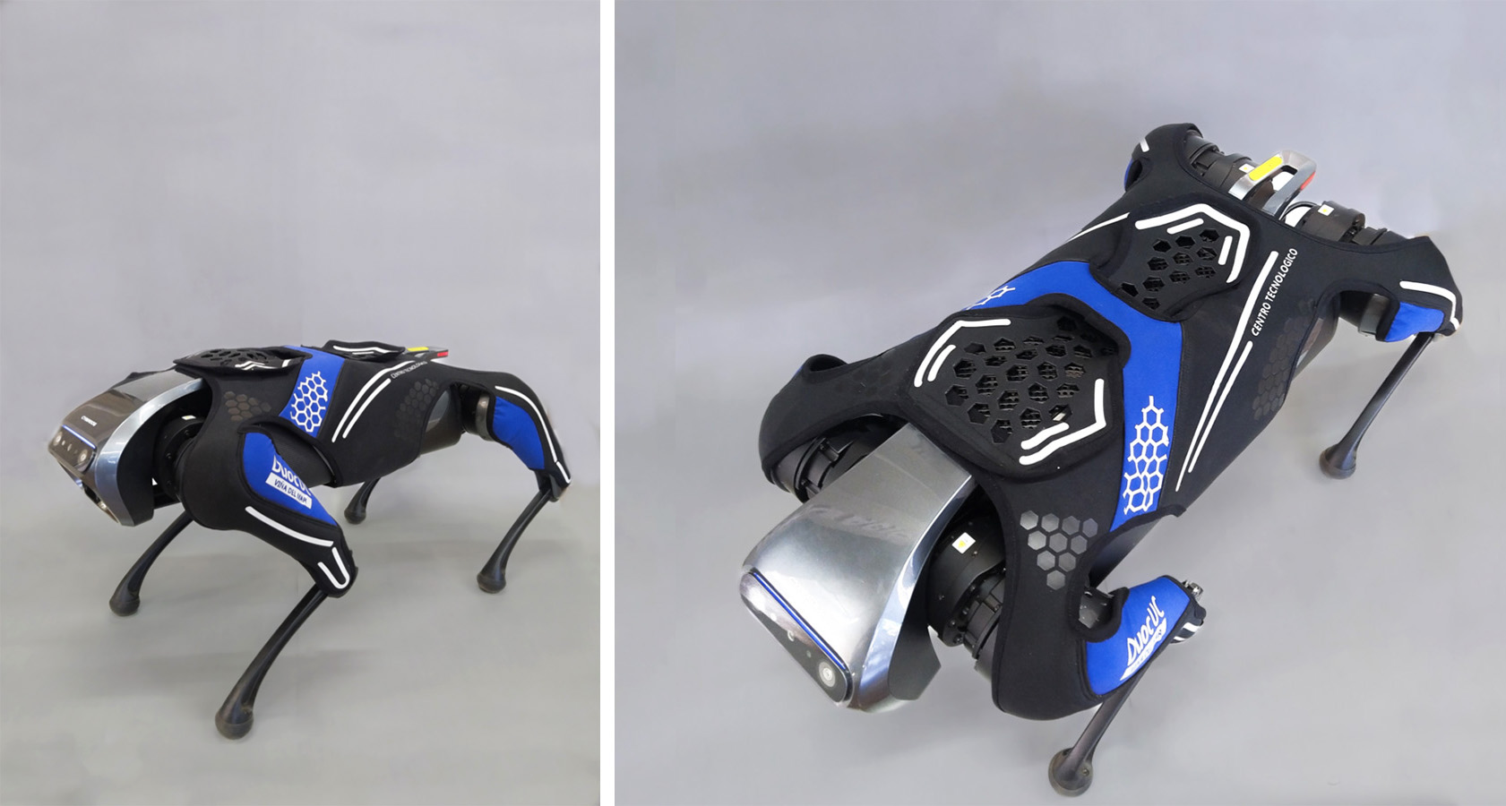 Indumentaria Técnica para Cyber Dog