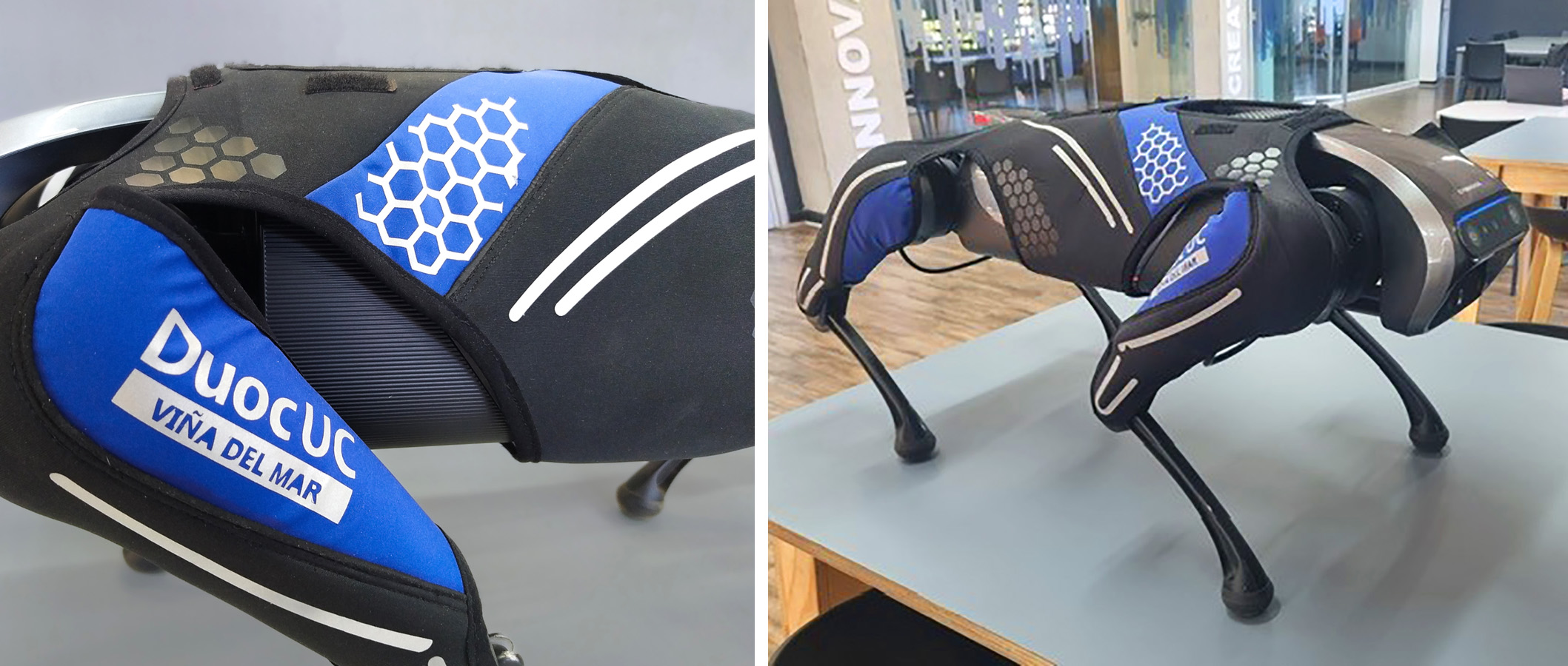 Indumentaria Técnica para Cyber Dog