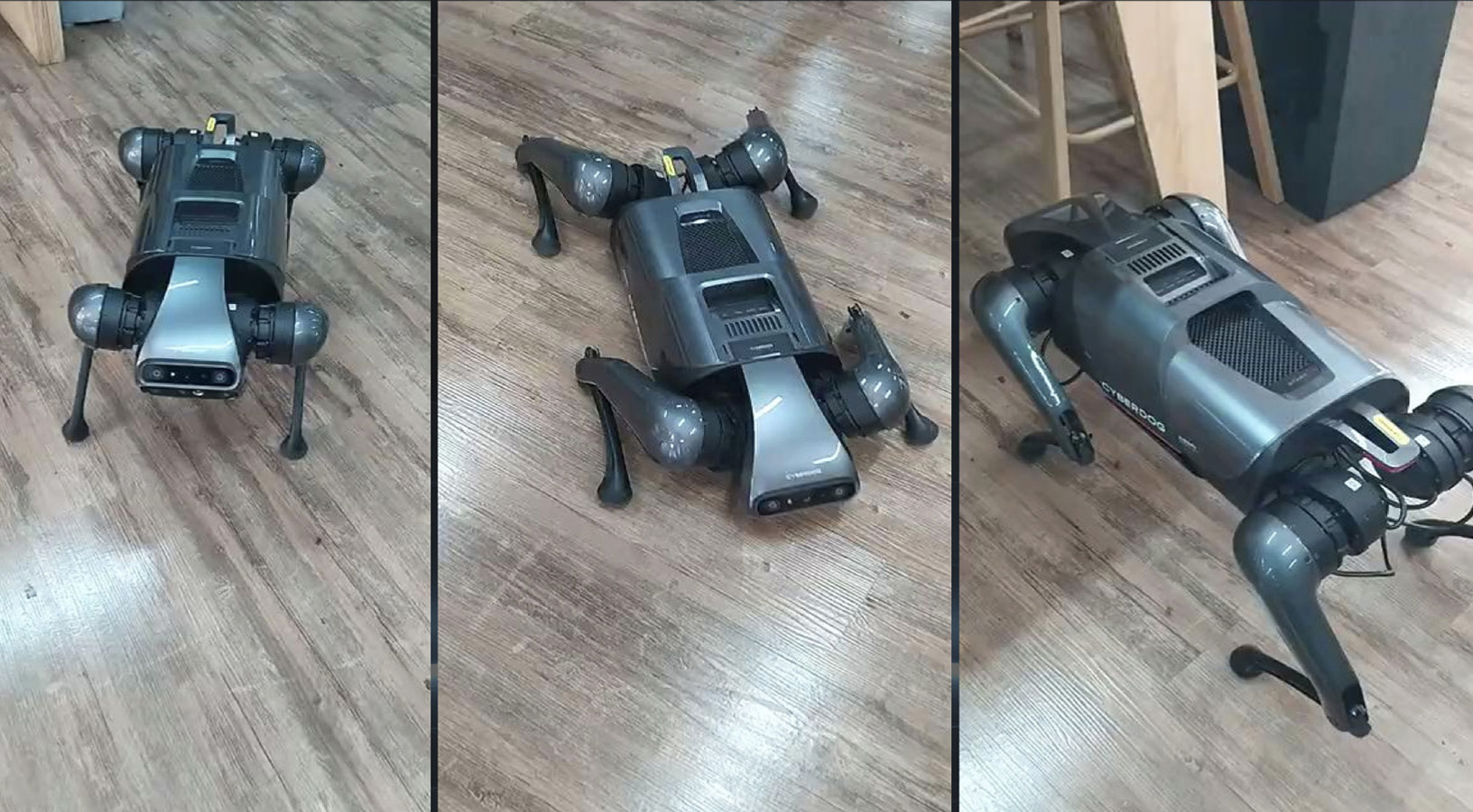 Indumentaria Técnica para Cyber Dog