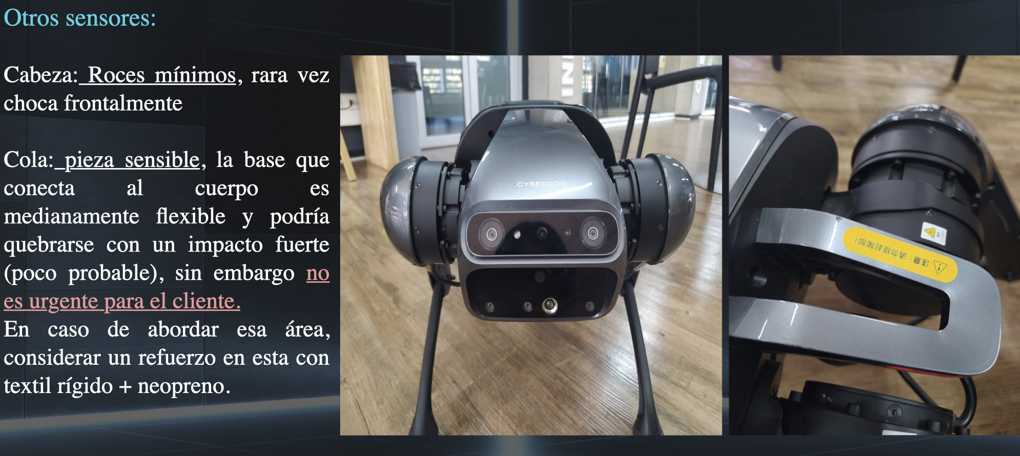 Indumentaria Técnica para Cyber Dog