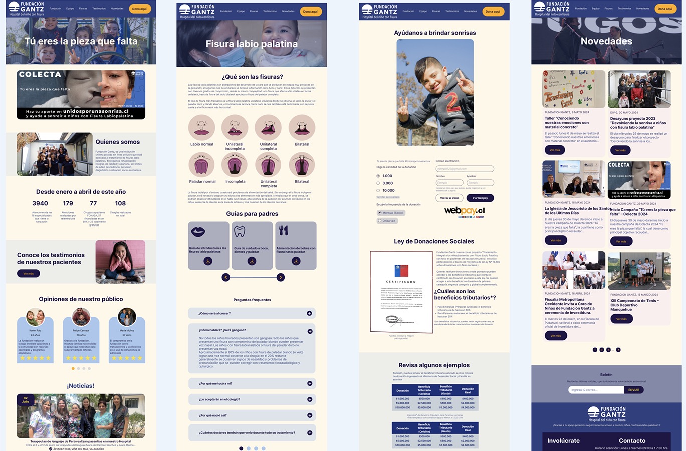 Rediseño Sitio Web Fundación Gantz